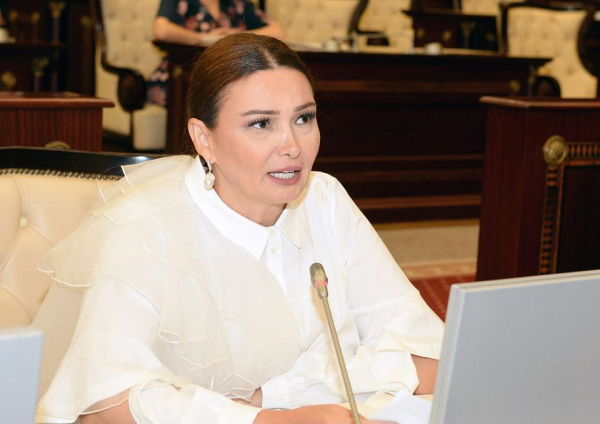 Bu qanuna əməl edilmir, təhlükə var – Deputat